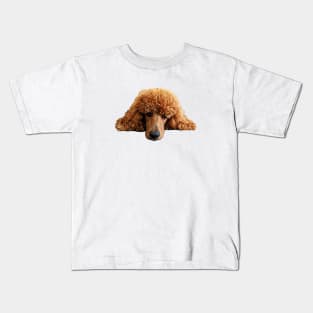 Poodle Gorgeous Poodle Face / Head Kids T-Shirt